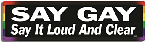 Gear Tatz - Кажи гей, Кажи го високо и ясно - Политическа стикер на бронята LGBTQ Pride - 3 x 10 инча - Професионално направено в САЩ (винил, X1)