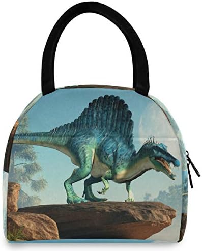 Случайна чанта за обяд Дамски - Moon Динозавър Големи Запечатани Торби за Обяд с плечевыми ремъци за Пикник