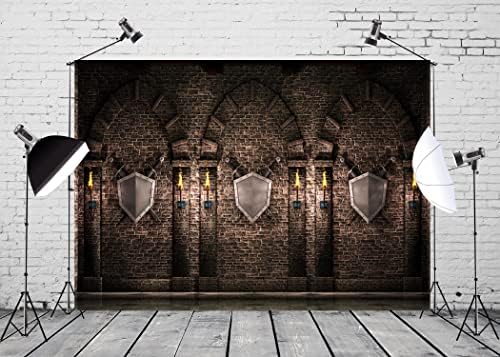 BELECO 15x8ft Текстилен Фон в Готически стил на Средновековен Замък, Арки от Древен Тухли, Каменни Стени, Арки