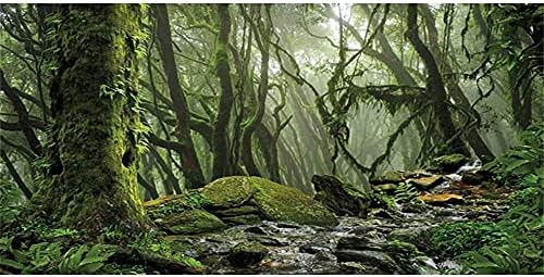 Невероятна Мъгла Гора на Фона на Терариума Поток Зелен Огромно Дърво на Фон на околната Среда на Влечуги Фон