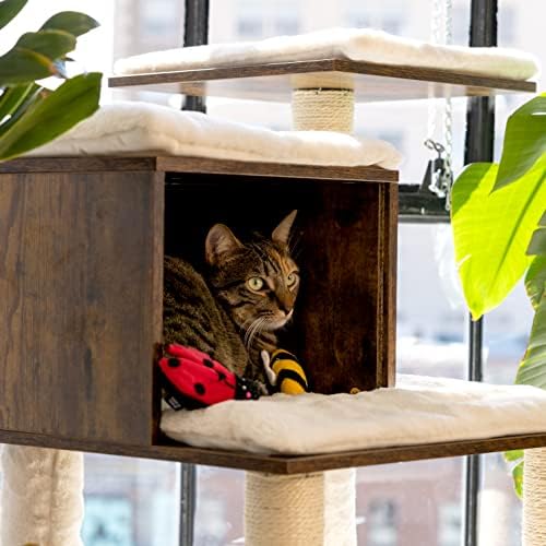 Играчки за котки от коча ZippyClaws - Калинка и Пчела 2 опаковки, Интерактивни Играчки за Домашни котки от Скука,