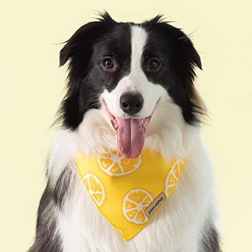 Кърпа за кучета Paws Wishes, 2 опаковки, Определени от Резена Лимон и жълтата клетка, Lemon Festival, Удобен